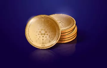 Cardano Casinos: Pros & Con